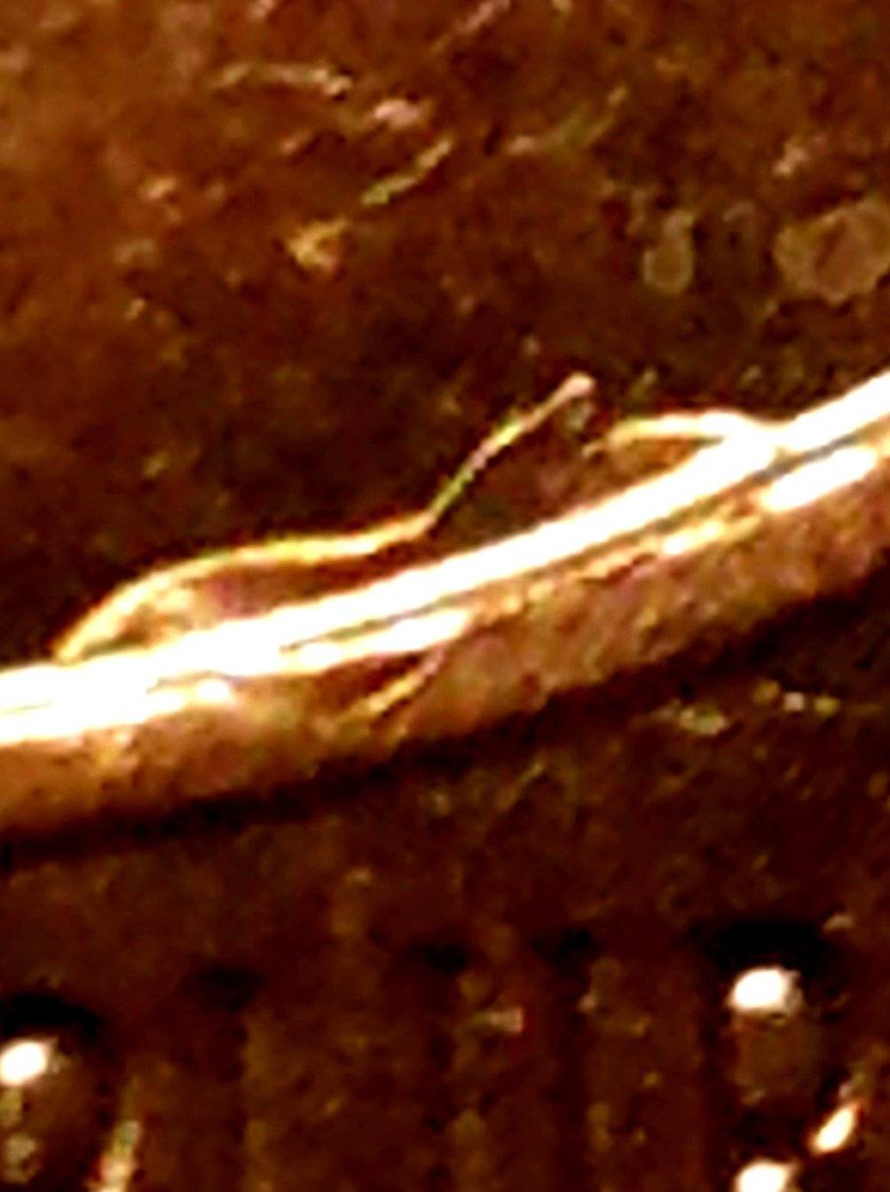 2017-P-Lincoln-Cent-Retained-Interior-Die-Break-On-Shield-Of-Reverse?